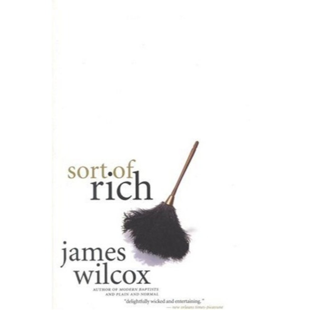 Sort of Rich James Wilcox New York times notable book of Year